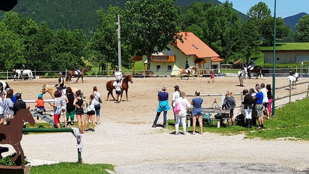 Impressionen von der erfolgreichen Sonderprüfung am Halmerhof in Puchberg. © privat