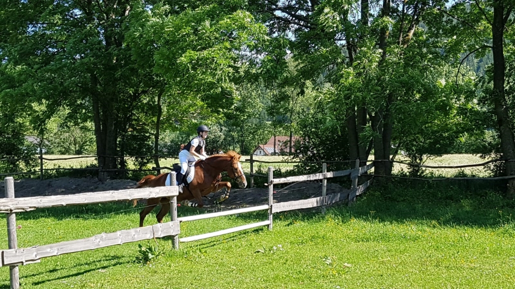 Impressionen von der erfolgreichen Sonderprüfung am Halmerhof in Puchberg. © privat