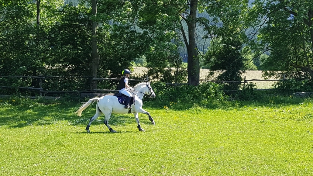 Impressionen von der erfolgreichen Sonderprüfung am Halmerhof in Puchberg. © privat