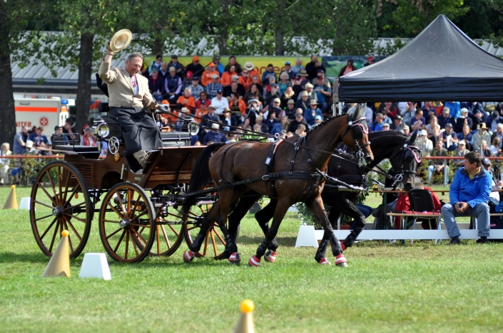 2019_WM_Kegelfahren_Josef_Stickelberger (10) Wahnsinn! Platz 3 im WM-Teilbewerb Kegelfahren für den Niederösterreicher Josef Stickelberger. © Sonja Bauer