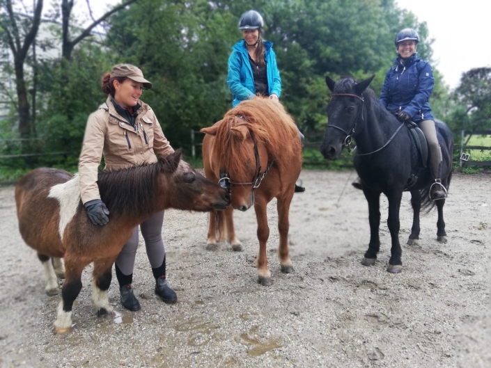 Sitzergonomiemit_VickyWeber_RFVUnteresTraisental_cprivat Sitzergonomie mit Vicky Weber im RFV Unteres Traisental. © privat