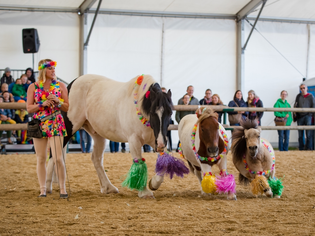 Pferdesport, Messe und Show bei der Apropos Pferd in der Arena Nova in Wr. Neustadt. © Michael Graf